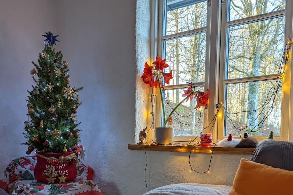 Beautiful And Cosy House Near The Lake 올로프스트롬 외부 사진